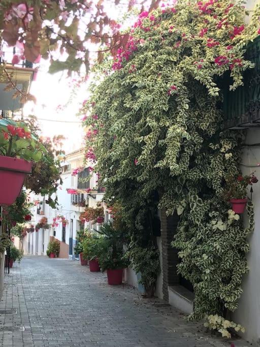 Apartmán Casa Maria Estepona Exteriér fotografie